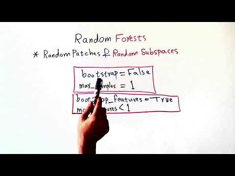 شرح Random Patches & Random Subspaces
