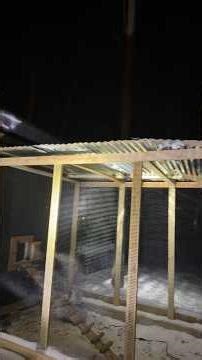 Temporary Hawk Protection for Our Chicken Run 🐔🛠️