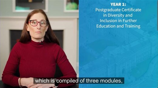 Diversity and Inclusion in Further Education and Training Framework Programme | Trinity College Dublin School of Education