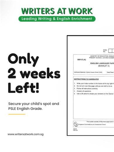 Top Schools English Paper 2 Revision for PSLE