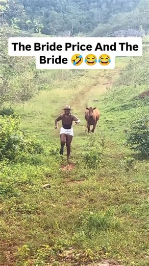 True Signal News/TSN on Instagram: "The Bride Price And The Bride 🤣😂😂"