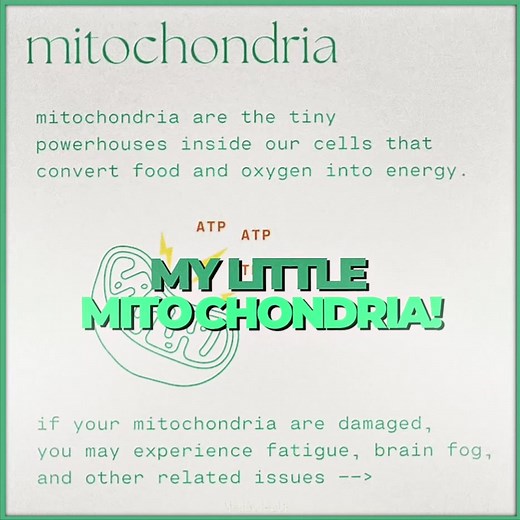 Understanding Mitochondria in Biology Studies