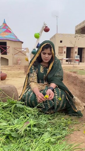 Rajasthani Life Routine: Daily Work of Village Women