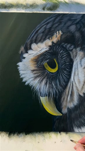Painting A Spectacled Owl In Acrylic #owlpainting #spectacledowlpainting