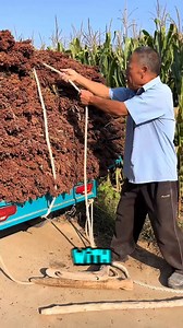 129K views · 482 reactions | With nothing but rope, wood, and wisdom, the farmer tightens his load using a handmade lever #fblifestyle #farmwisdom #handmadetools #satisfyingwork #tooltok | Yalla Studio TV | Facebook