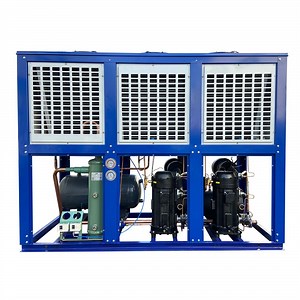 [Hot Item] Box-Type Condensing Refrigeration Unit for Cold Storage Walk in Freezer