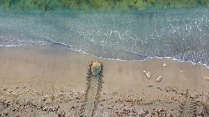 Palm Beach County beaches guide: Attractions, fun facts on each from Tequesta to Boca Raton