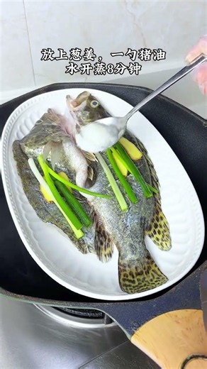家常清蒸魚，做法簡單鮮香嫩滑人人都愛喫！ #家常菜 #清蒸魚 #白灼汁 #桂花魚