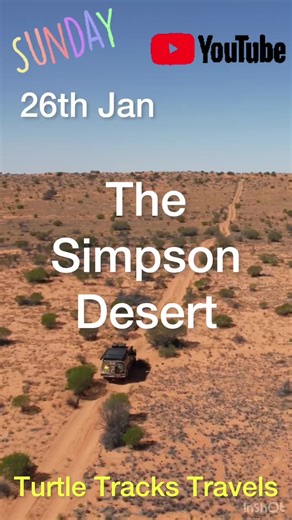 Turtle Tracks Travels on TikTok