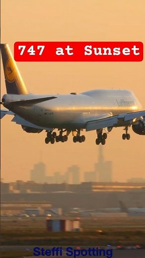 Lufthansa 747 Jumbo Jet TOUCHDOWN in Golden Hour | Frankfurt Airport Plane Spotting #lufthansa747