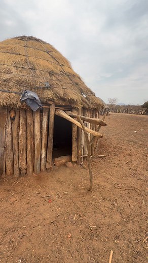 Hakaona women in Namibia typically grind millet inside their homes or in a covered area. They use a wooden mortar and pestle to crush the grains into a fine flour. This work, which requires strength and rhythm, is part of their daily chores and is done in groups, often accompanied by conversation or traditional songs. #inspirationofafrica | Quim Fàbregas - Fotografía y Viajes.