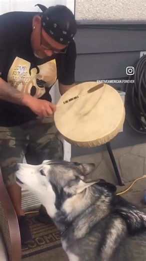 12K views · 182 reactions | Music Traveler on Reels | Facebook