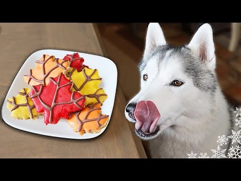 Maple Bacon Dog Treats with Bacon Glitter 🥓 DIY Dog Treats Recipe