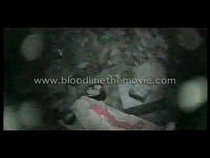 Mary Magdalene's tomb ?