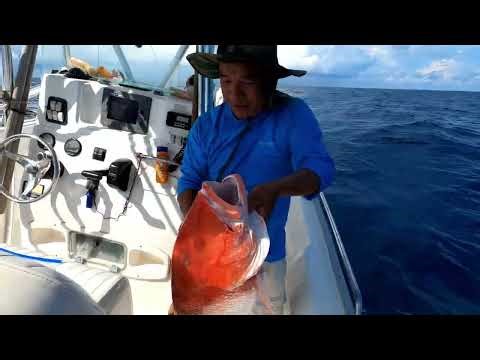 2 Days of fishing for GIANT Red Snapper & Mangrove in Freeport Texas