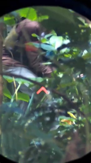 Full Auto Airsoft Highlights #airsoftgame #airsoftnation #airsoft