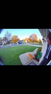 48K views · 148 reactions | Dog Sprays Owner with Hose Before Work ...
