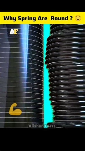 Why Are Springs rolls usually round? 🤔 #alishanfacts #facts #ytshorts