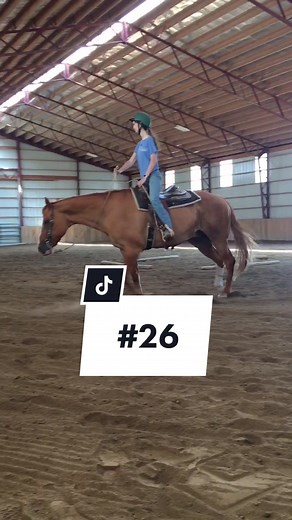 Learning How to Trot on a Western Horse: Beginner Lesson