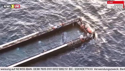 Man sieht, wie er mit dem Kopf immer wieder nach links will, er will sich drehen, ist aber zu lang dafür. Er probiert es immer wieder. #Hope #Timmy #ostsee #BalticSea #humpbackwhale #buckelwal #whale #wal #walrettung #whalerescue