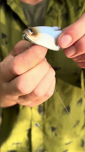 how to rig the sixth sense panorama weightless ￼#6thsencepanorma