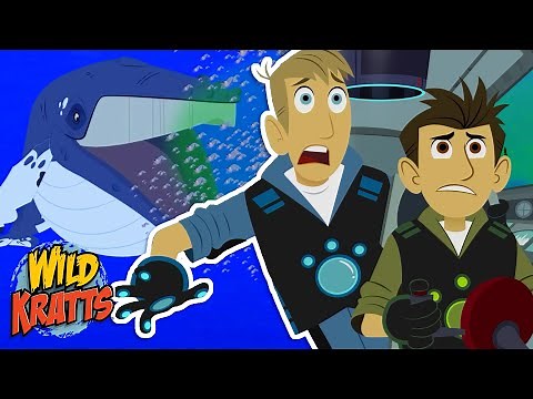 The Kratt Bros Get Eaten by a Whale! | The Ocean Food Chain | Plankton | Season 7 | Wild Kratts