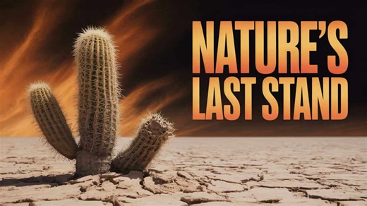 These Creatures Are Evolving Before Our Eyes