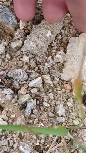 What Is That We Found