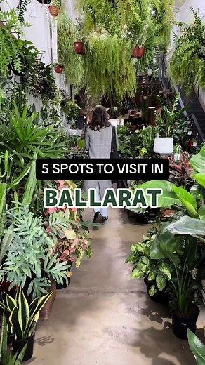 Explore Ballarat: 5 Must-Visit Spots