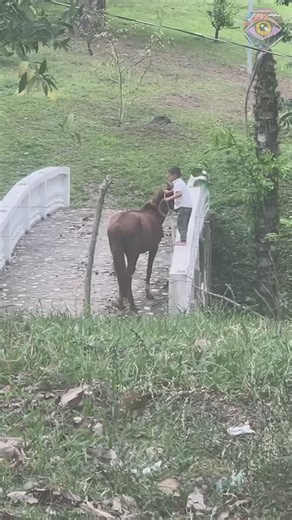 Un enfant en bas âge fait preuve d'une maîtrise de l'équitation bien supérieure à son âge | Brico Sympa