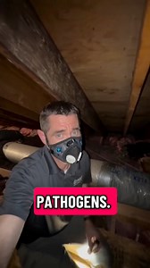 Rodent urine and feces aren’t just “dirty” — they can trigger neuroinflammation, especially in kids with PANS/PANDAS, conditions where the immune system attacks the brain after infections like strep. Those stains you see? Rodent salts show up instantly on a moisture meter — and the bacteria, pathogens, and toxins they leave behind can seriously stress a vulnerable immune system. If someone in your home struggles with PANS/PANDAS, or unexplained anxiety, tics, mood swings, or OCD-like symptoms, r