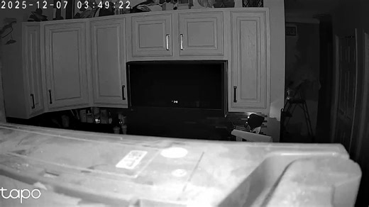 Had a visitor early this morning | Ann Morgan | Facebook