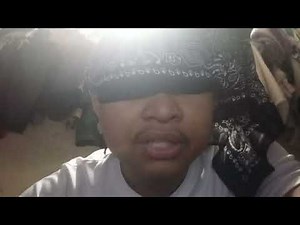 Does the SCD1 Gene affects the Plasma-membrane fluidity? A comprehensive explanation!