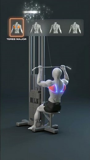 TERES MAJOR EXERCISES