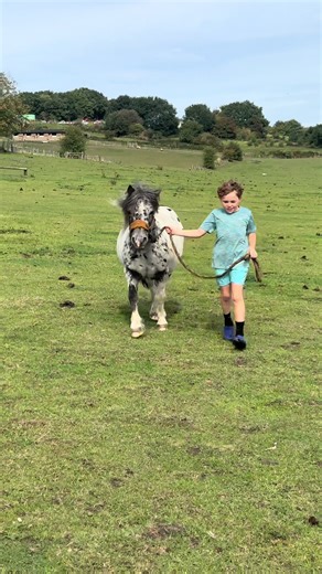 Just a little boy & his little pony #cute #pony #equestrian #maleequestrian #spottypony