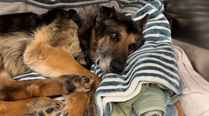 136K views · 11K reactions | We know everyone is anxious for an...