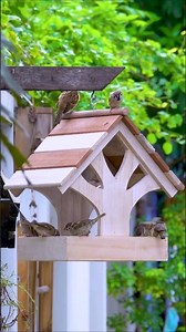 Create a BACKYARD Bird Feeder Easily at Home #diy #crafts #birdlovers #shorts
