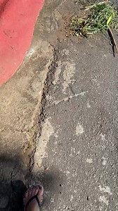 20K views · 687 reactions | Uma bala?  | Casa Reciclada | Facebook