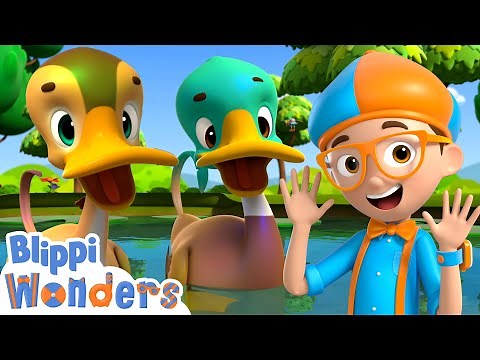 Learn How Ducks Float | +More Blippi Wonders | Cartoons For Kids | Educational Videos For Kids