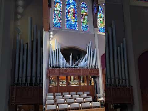 Organ Series - Part 1 - Divisions Of The Organ