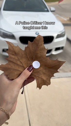 831K views · 951 reactions | Car safety tips I wish I knew last year!  #tips #safety #carhacks #LifeHack #safetytips | Elle Motherhood & Lifestyle | Facebook