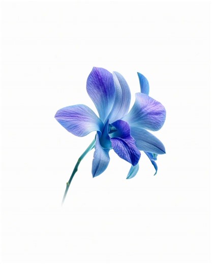 Exploring Lady Gaga's Iconic Songs and Lyrics