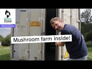 Shipping container Mushroom Farm Update — Fridge Test, Humidity unboxing & Power Plans