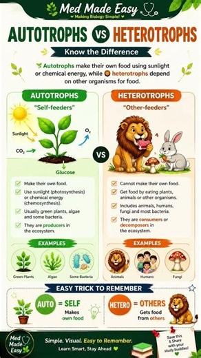 🌿 Autotrophs vs Heterotrophs | Never Confuse Them Again! ⚡