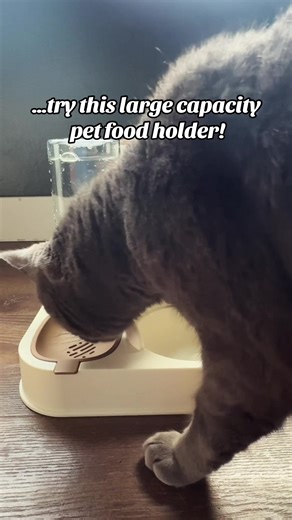 This pet feeder is perfect for long-days and multi-pet households! It has a front latch that makes it easy to control how much food to dispense and has a gravity water feeder. It’s on a pretty good sale rn so now’s a good time to grab one! #catfood #cats #cattok #fooddispenser #cattoys