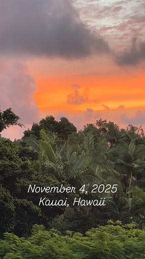 Good morning from Kauai. #kauai #princeville #princevillekauai | Kauai Vacation Rental at Honu Point | Facebook