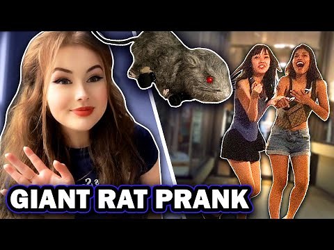 Giant Robot Rat Prank
