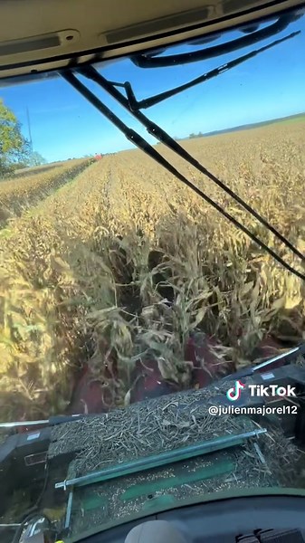 #automne #aveyron #eta #moisson #johndeere #saison #chauffeur #maïs🌽 #epareuse