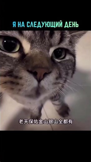 #банкротство #какнеплатитьмикрозайм #юридическиесоветы #минусыбанкротства #банкротствофизлиц