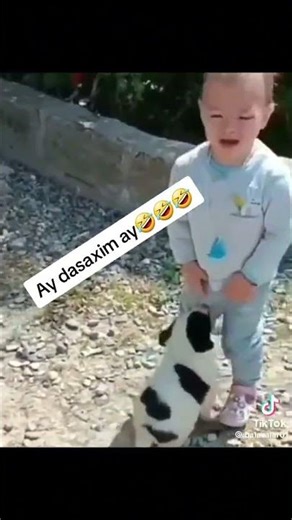 🌹 Sevgi Statusu 2026 💔 | Mənalı WhatsApp Video